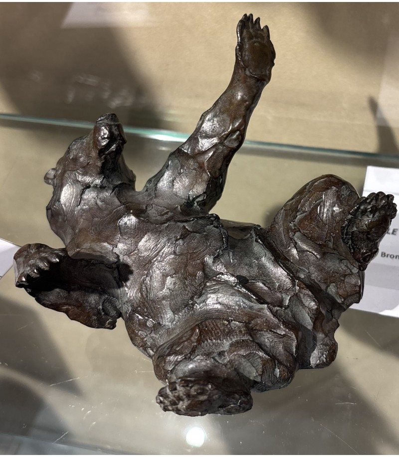 Ours brun - Le Mal Peigné par Jean-Marc Bodin pour Animal Art Gallery paris