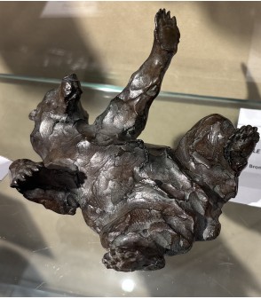Ours brun - Le Mal Peigné par Jean-Marc Bodin pour Animal Art Gallery paris