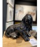 BASSET (terre cuite)