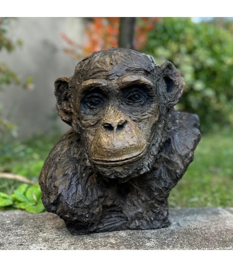 Chimpanzé sculpture animalière en bronze Francine Mellier pour Animal Art Gallery Paris Chimpanzé sculpture animalière en bronze Francine Mellier pour Animal Art Gallery Paris