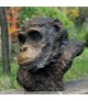 CHIMPANZE (bronze)