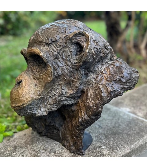 Chimpanzé sculpture animalière en bronze Francine Mellier pour Animal Art Gallery Paris Chimpanzé sculpture animalière en bronze Francine Mellier pour Animal Art Gallery Paris