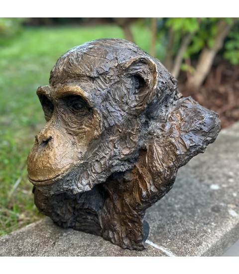 Chimpanzé sculpture animalière en bronze Francine Mellier pour Animal Art Gallery Paris Chimpanzé sculpture animalière en bronze Francine Mellier pour Animal Art Gallery Paris