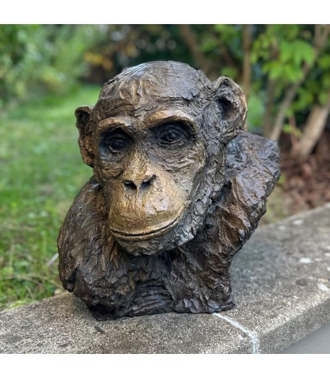 Chimpanzé sculpture animalière en bronze Francine Mellier pour Animal Art Gallery Paris Chimpanzé sculpture animalière en bronze Francine Mellier pour Animal Art Gallery Paris
