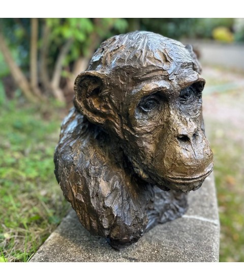 Chimpanzé sculpture animalière en bronze Francine Mellier pour Animal Art Gallery Paris Chimpanzé sculpture animalière en bronze Francine Mellier pour Animal Art Gallery Paris