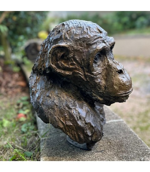 Chimpanzé sculpture animalière en bronze Francine Mellier pour Animal Art Gallery Paris Chimpanzé sculpture animalière en bronze Francine Mellier pour Animal Art Gallery Paris