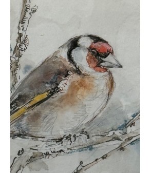 Peinture - Aquarelle - Oiseau - Chardonneret - Estelle Rebottaro - Peintre animalier