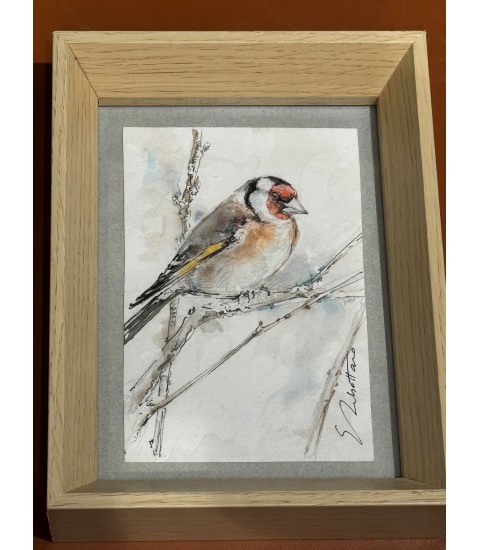 Peinture - Aquarelle - Oiseau - Chardonneret - Estelle Rebottaro - Peintre animalier