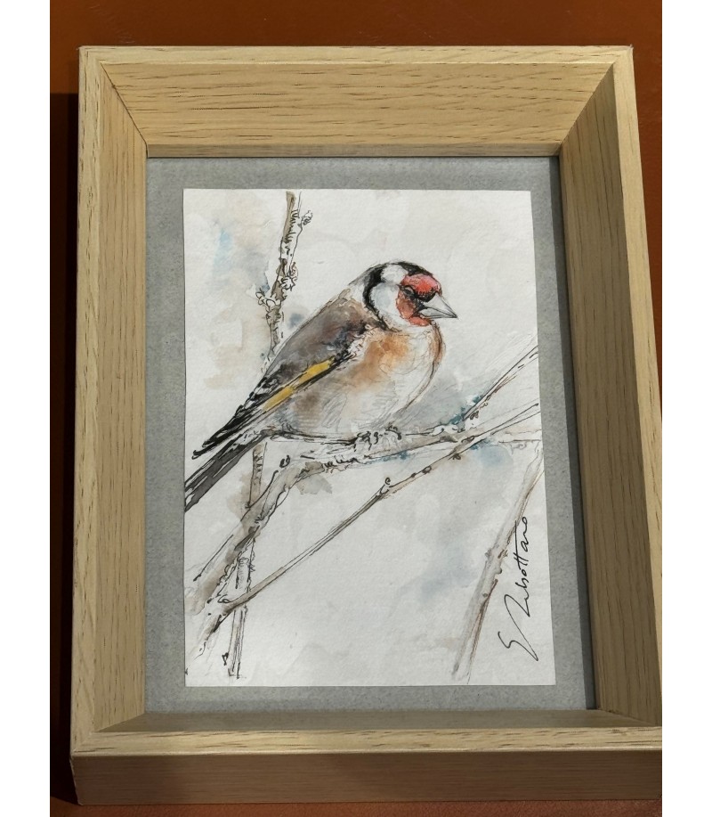 Peinture - Aquarelle - Oiseau - Chardonneret - Estelle Rebottaro - Peintre animalier