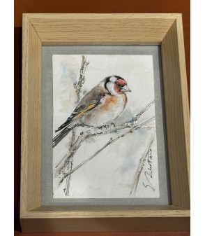 Peinture - Aquarelle - Oiseau - Chardonneret - Estelle Rebottaro - Peintre animalier