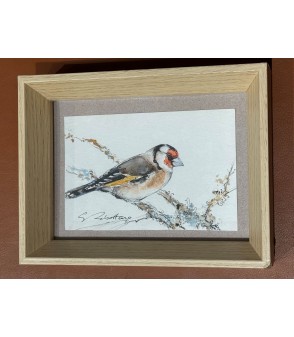 "Chardonneret” est un dessin à l’aquarelle, par l’artiste peintre animalier Estelle Rebottaro