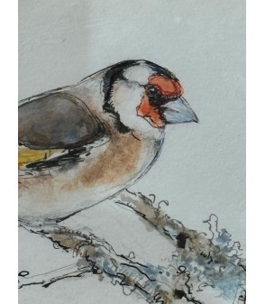 "Chardonneret” est un dessin à l’aquarelle, par l’artiste peintre animalier Estelle Rebottaro.