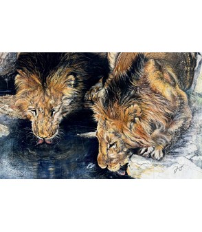 "LE POINT D'EAU" (Deux lions mâles qui boivent) par Julie Salmon pour Animal Art Gallery Paris