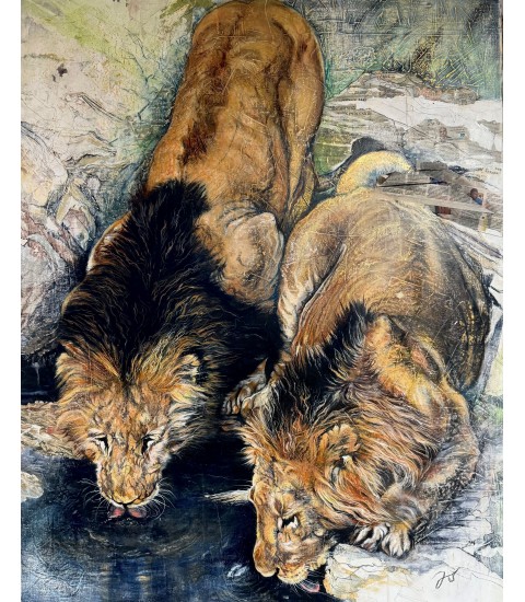 "LE POINT D'EAU" (Deux lions mâles qui boivent) par Julie Salmon pour Animal Art Gallery Paris