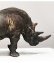 L'ATTAQUE (Rhinocéros, sculpture en céramique)