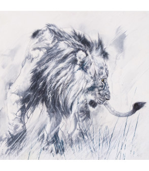 Animal Art Gallery Paris - So What (Jeune lion) - Julie Salmon