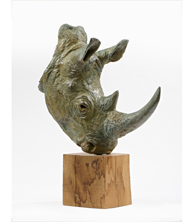 Tête de Rhinocéros, sculpture en bronze par Claire Crétu