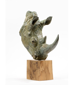 Tête de Rhinocéros, sculpture en bronze par Claire Crétu (2)