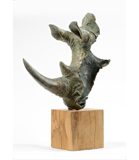 Tête de Rhinocéros, sculpture en bronze par Claire Crétu (3)