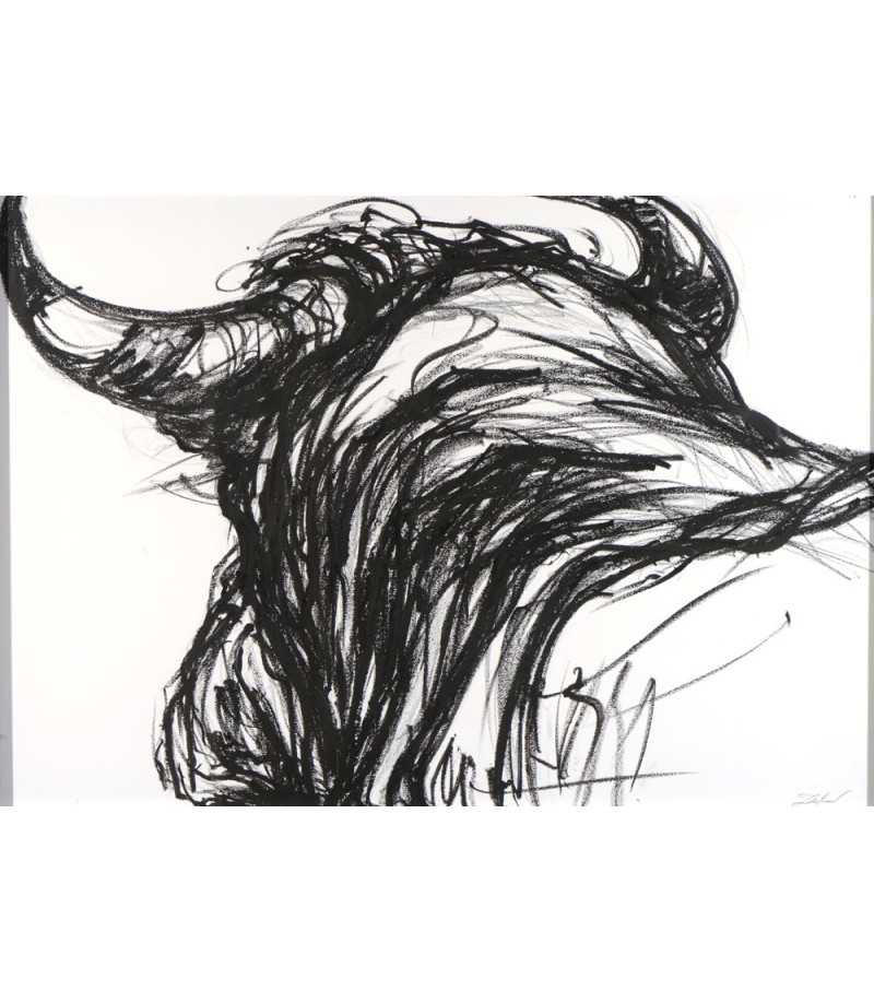 Le taureau, dessin crayon gras par Sonia Lalic