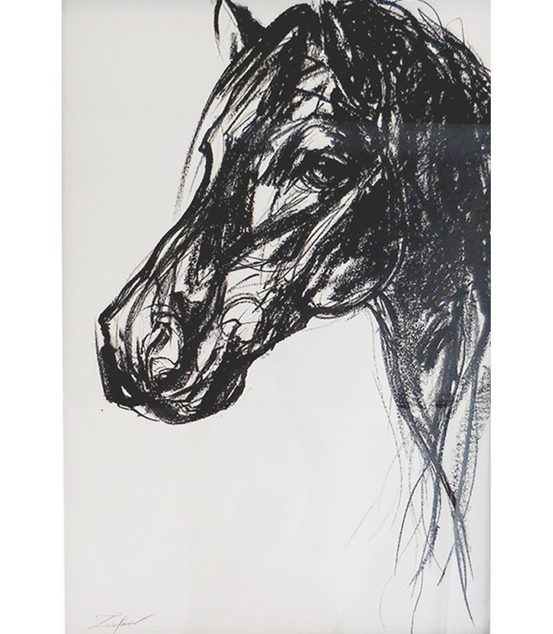 Tête de cheval, dessin crayon gras par Sonia Lalic
