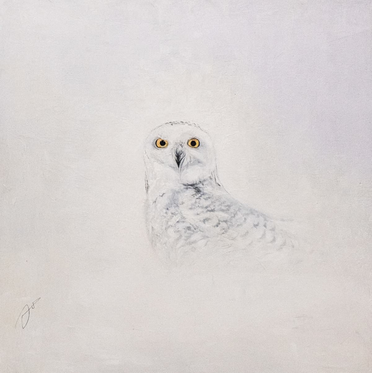 DANS LA BRUME HIVERNALE (femelle harfrang)