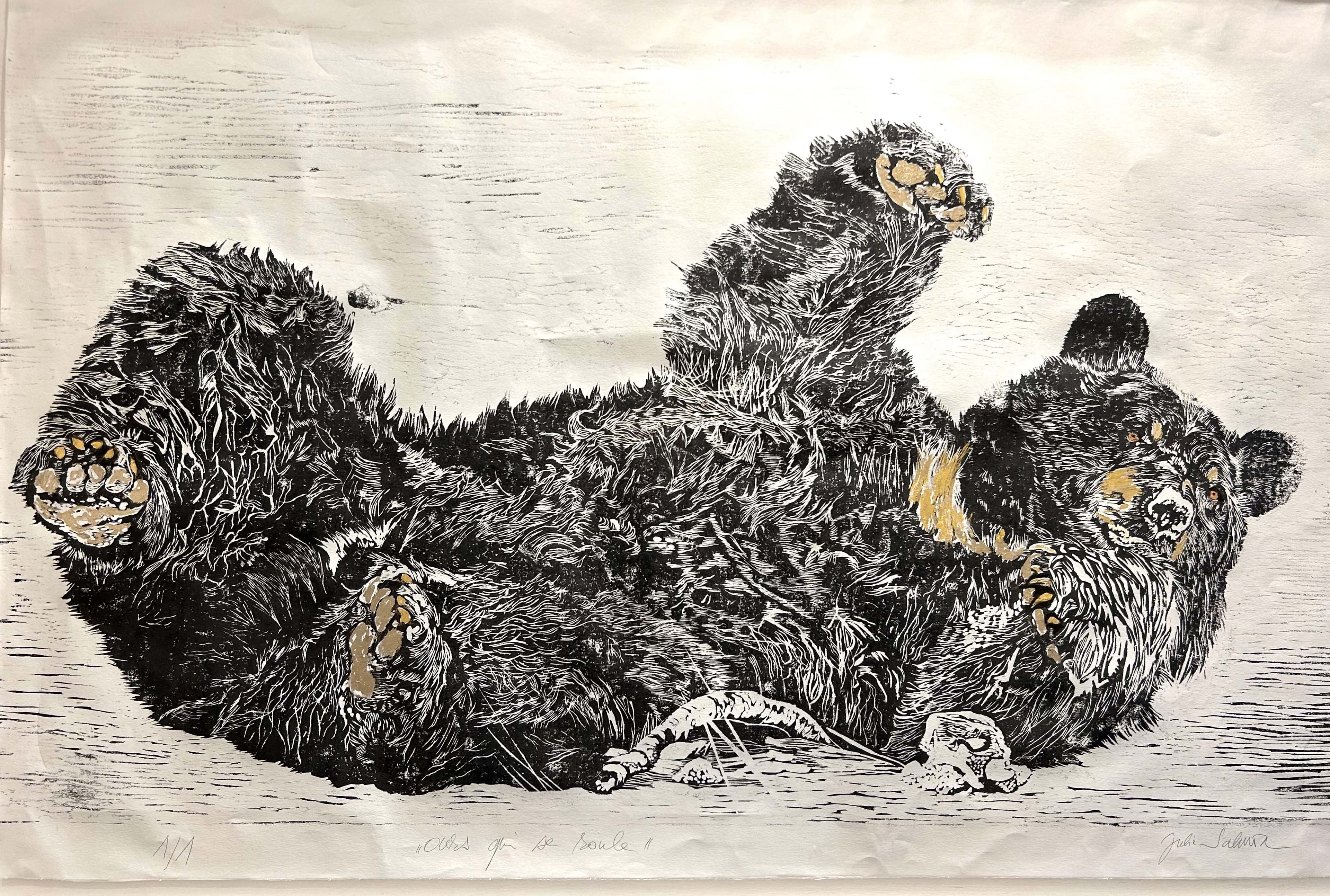 OURS NOIR QUI SE ROULE