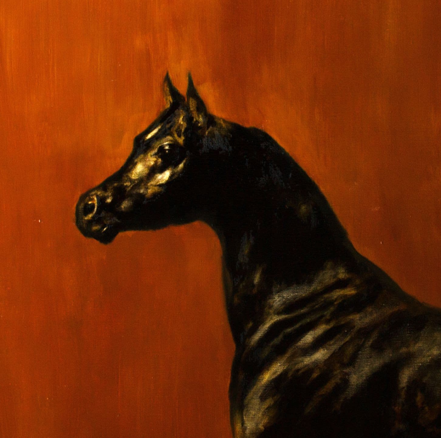 CHEVAL ARABE