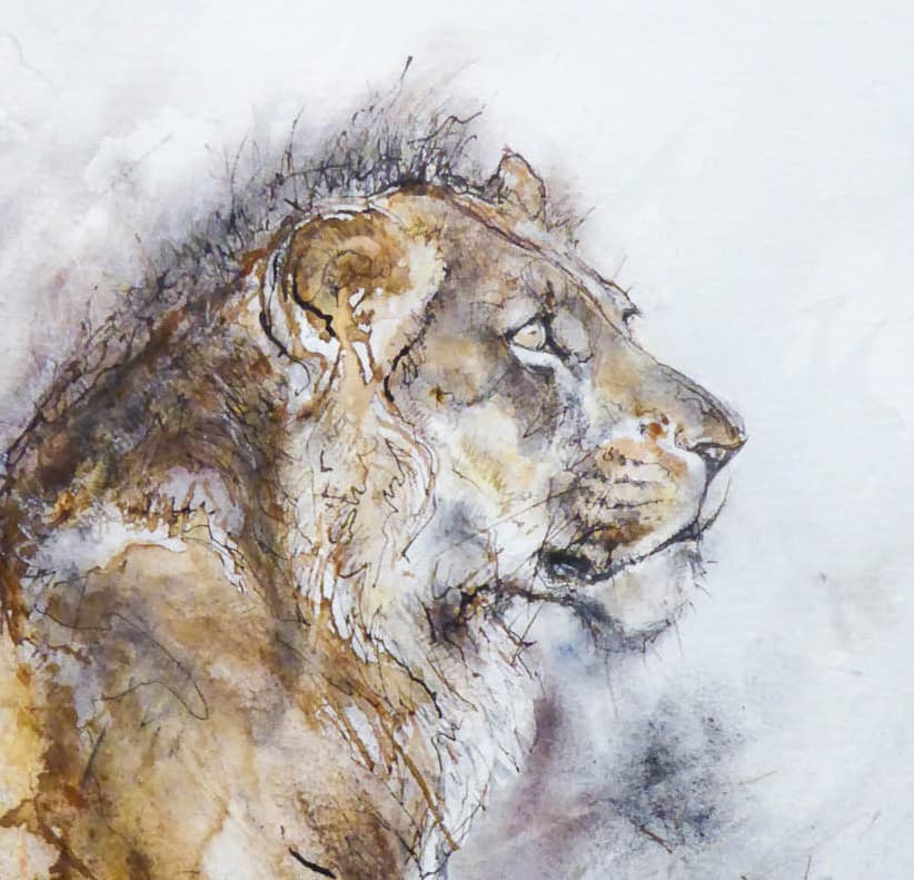 LION ASSIS