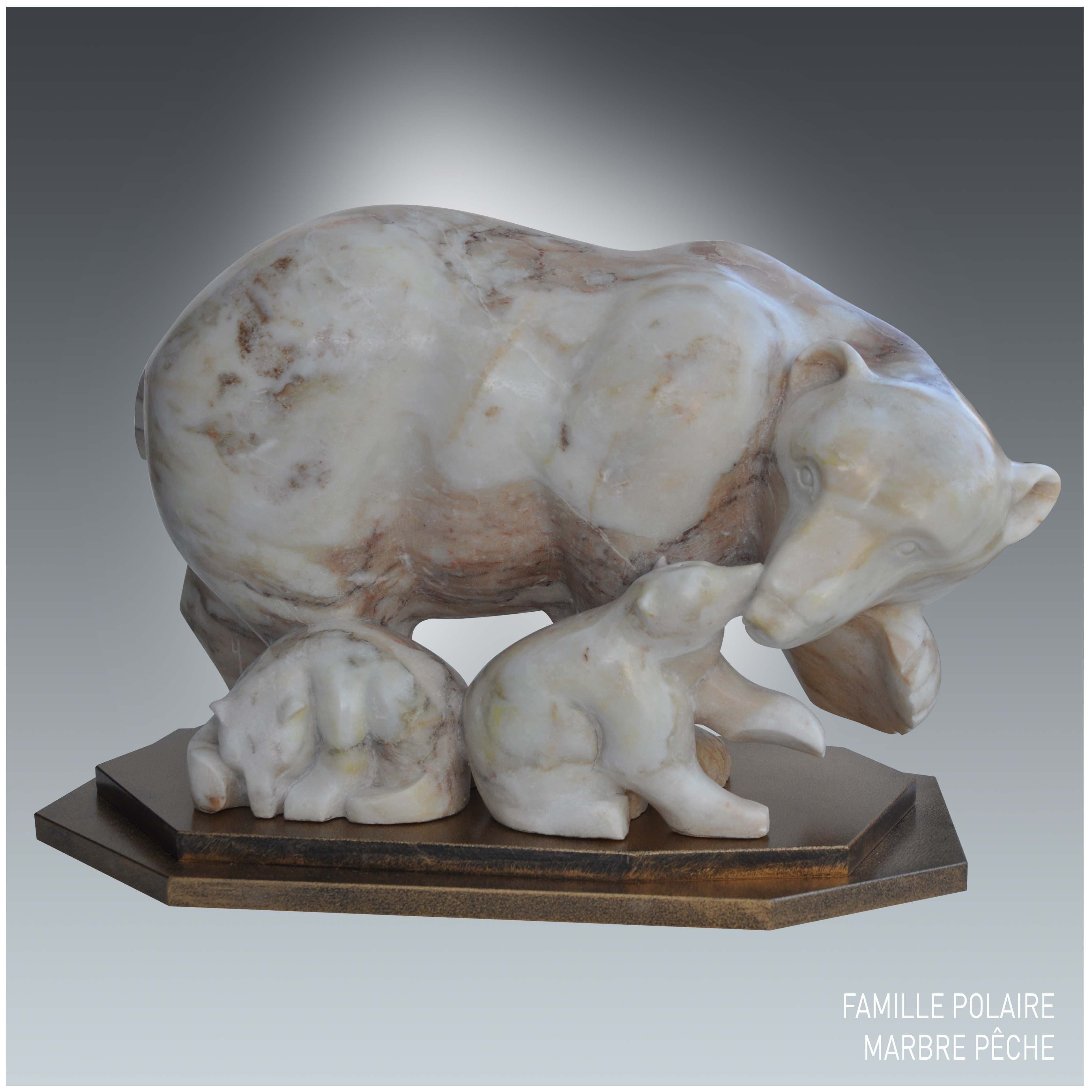 FAMILLE POLAIRE