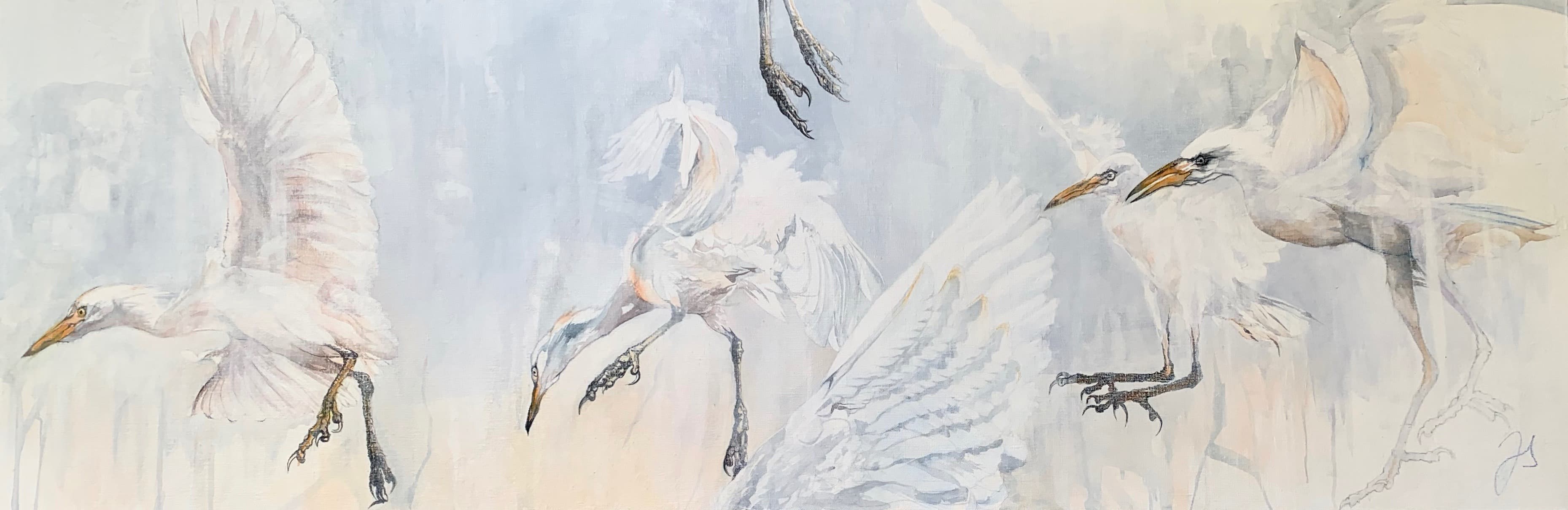 RESTLESS No1 (oiseaux)