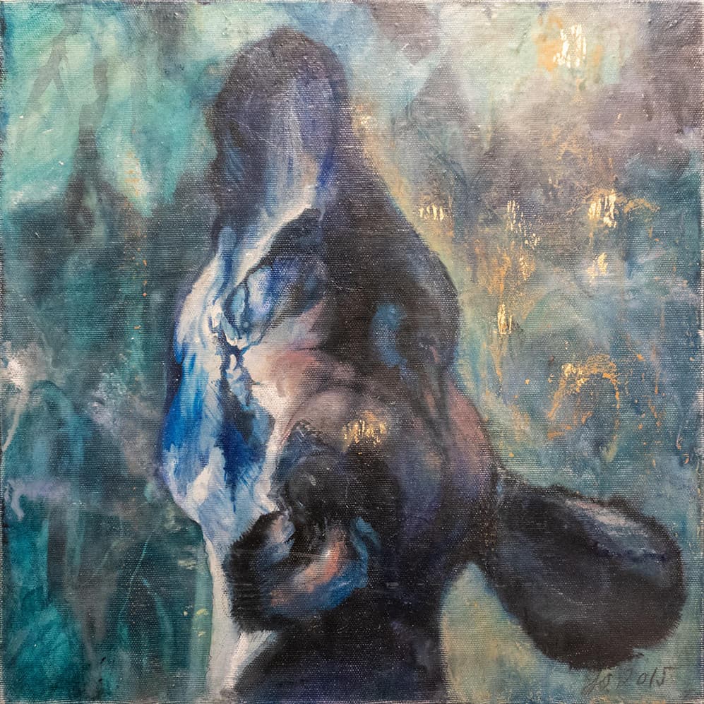 PORTRAIT D'OKAPI