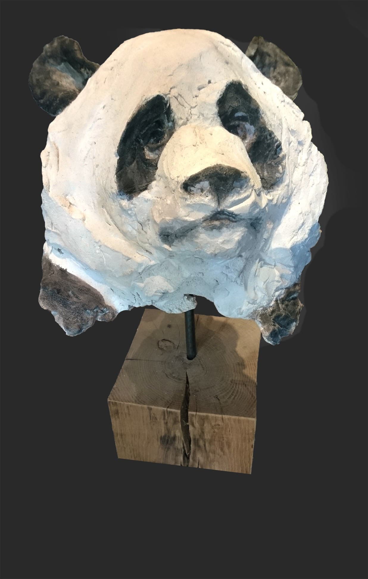 PANDA (portrait)