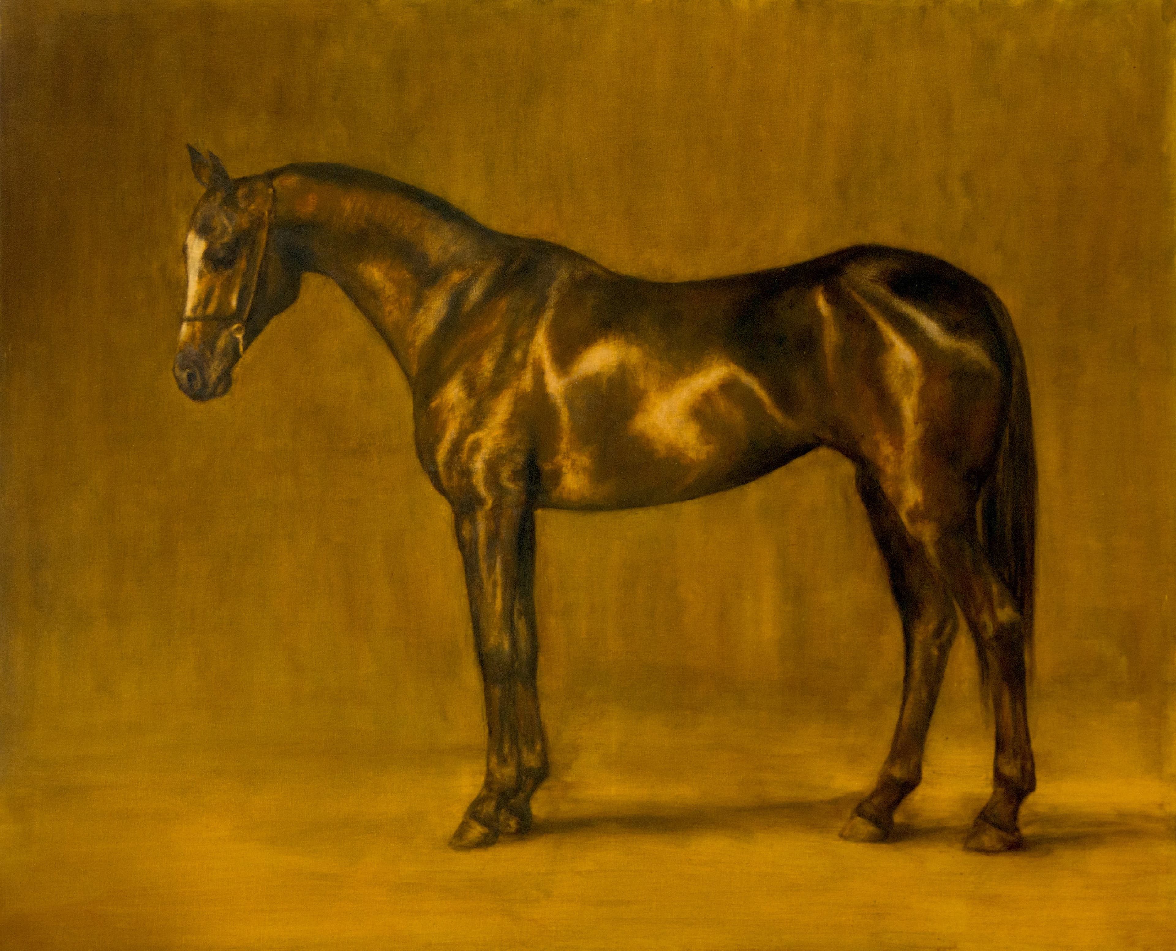JUMENT AKHAL TEKE (cheval)