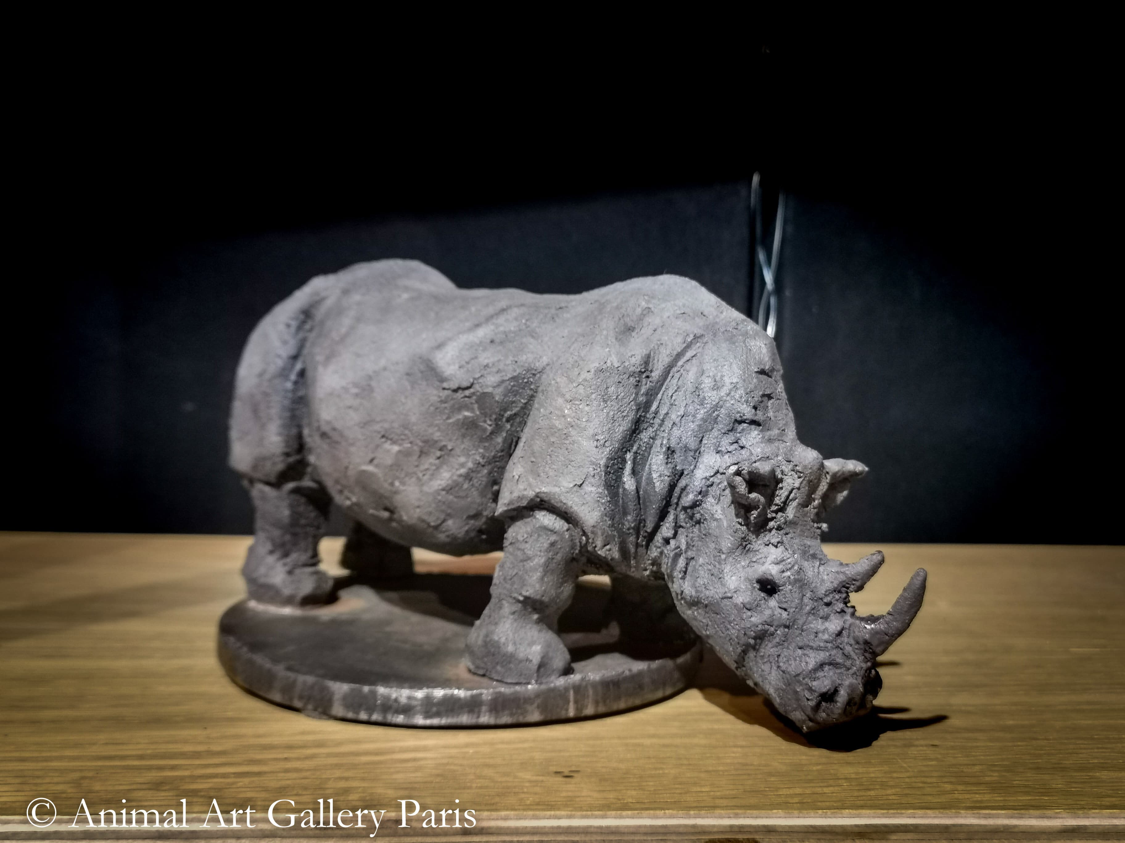 RHINOCEROS