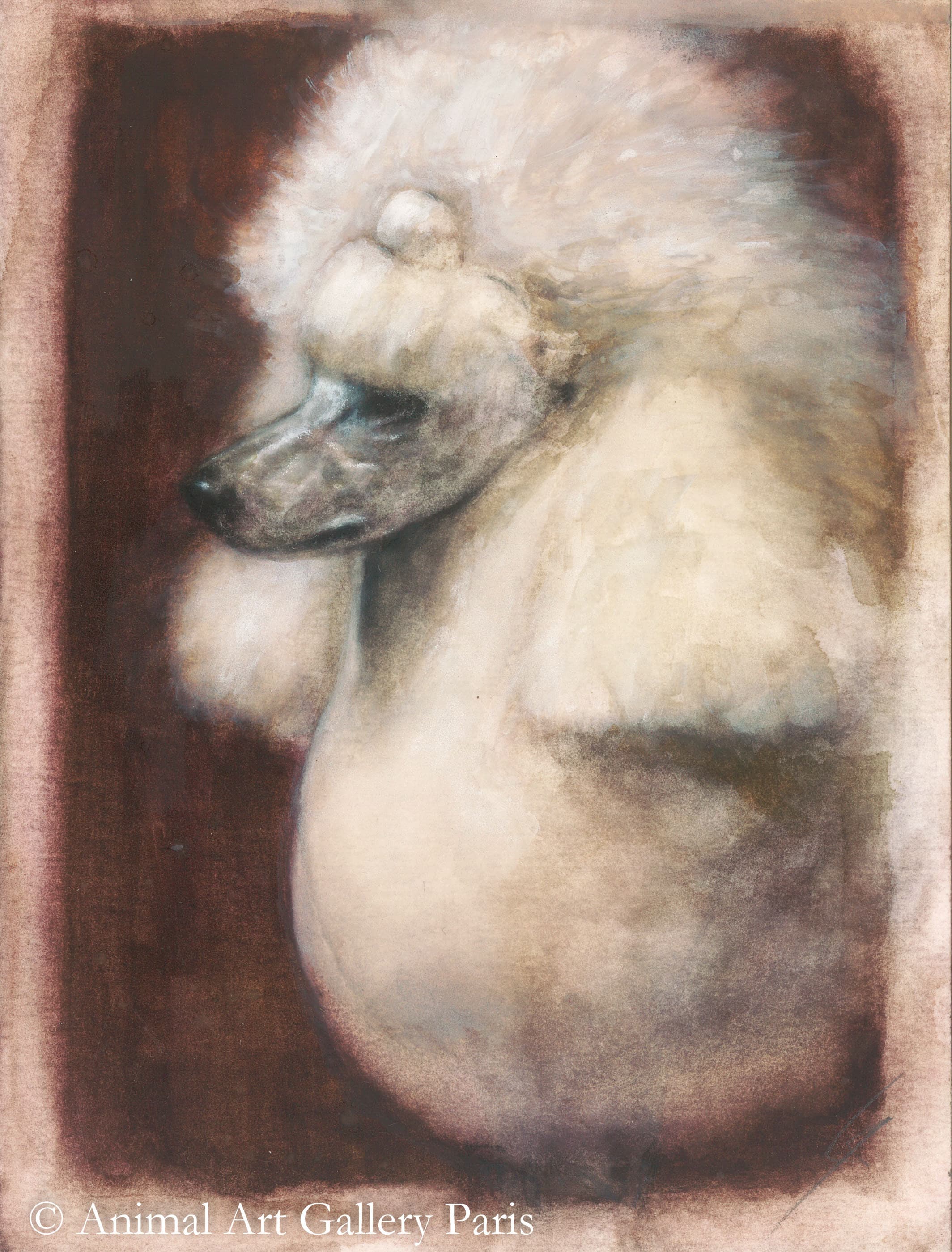 CHIEN CANICHE