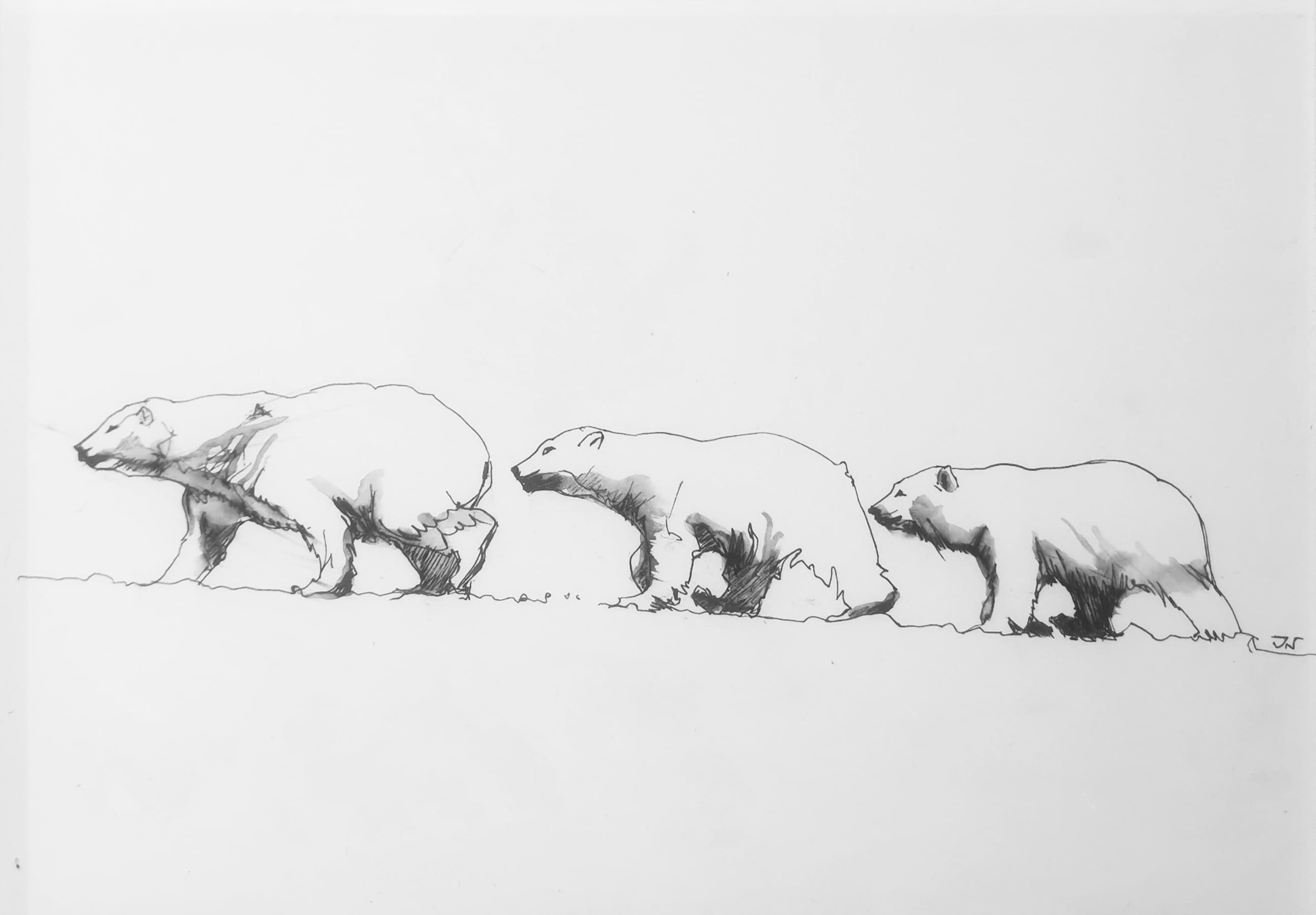 A LA QUEUE LEU LEU (ours blanc)