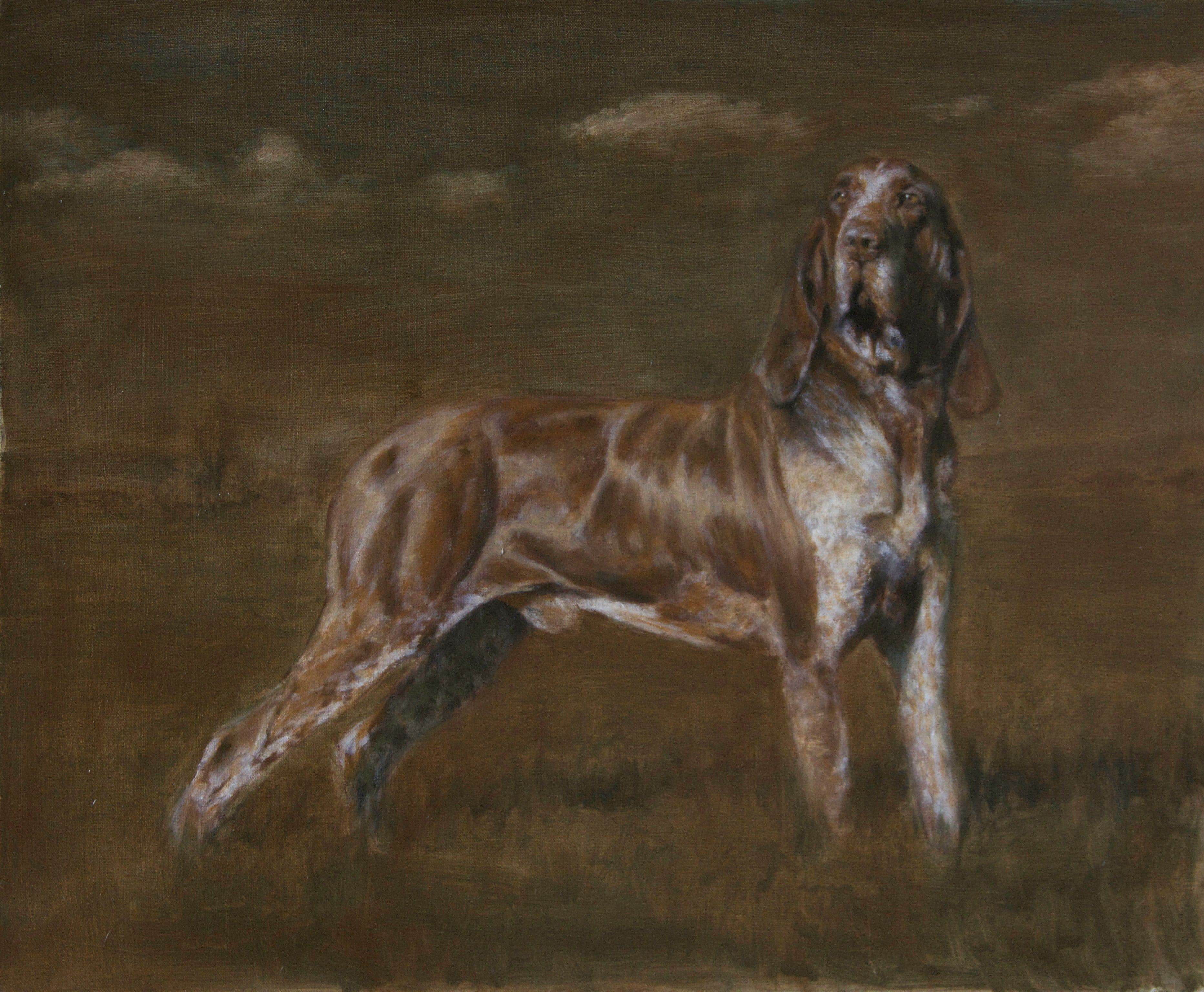 BRAQUE ITALIEN (chien)