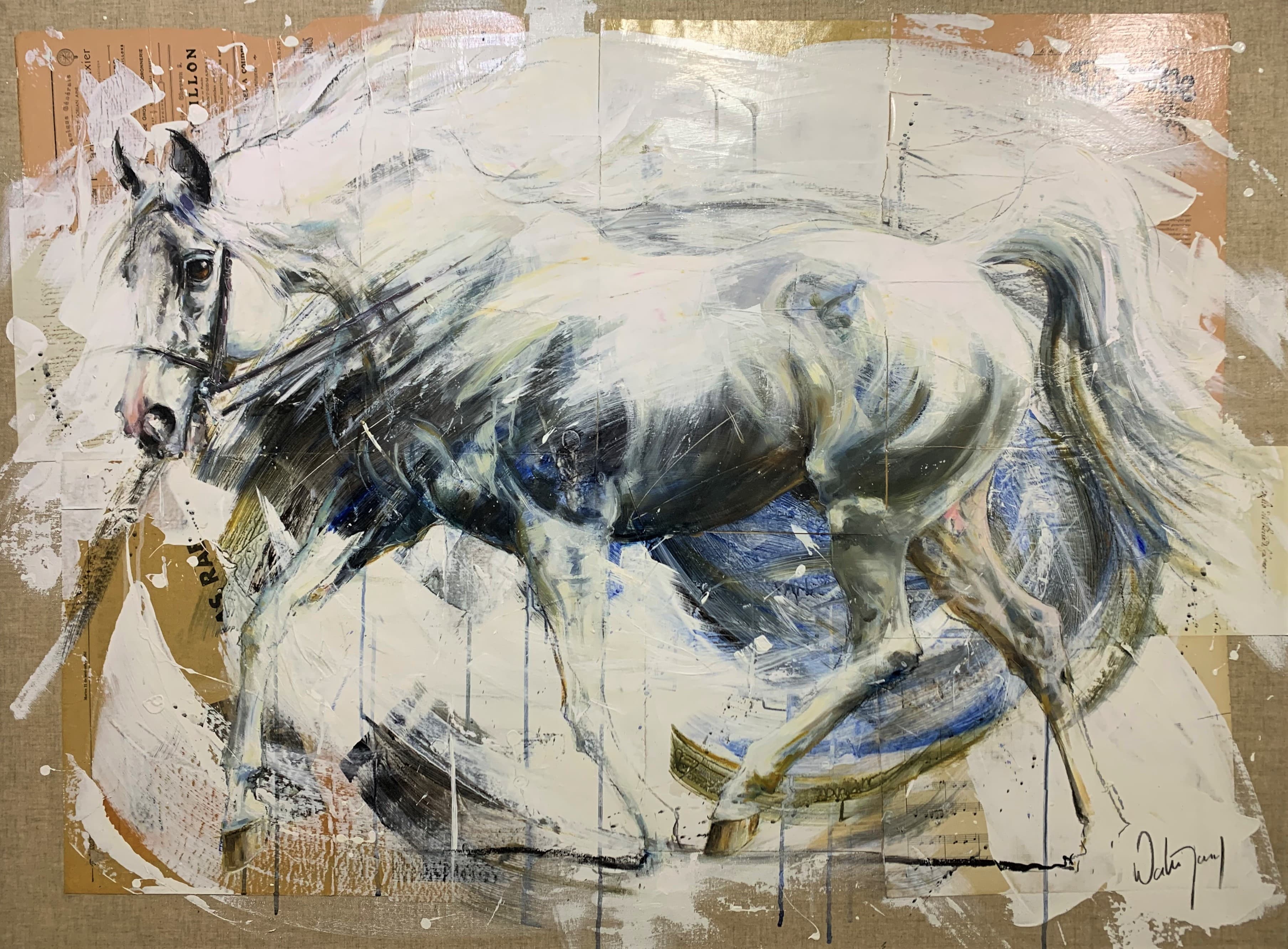 ARABIAN 2 (cheval de selle)