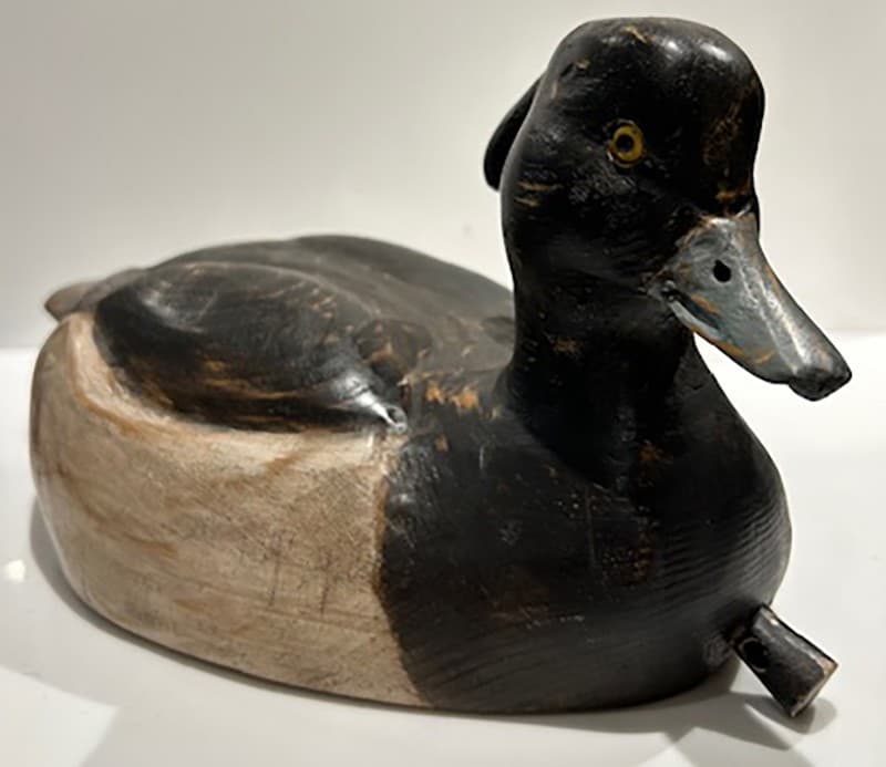 MORILLON (canard)