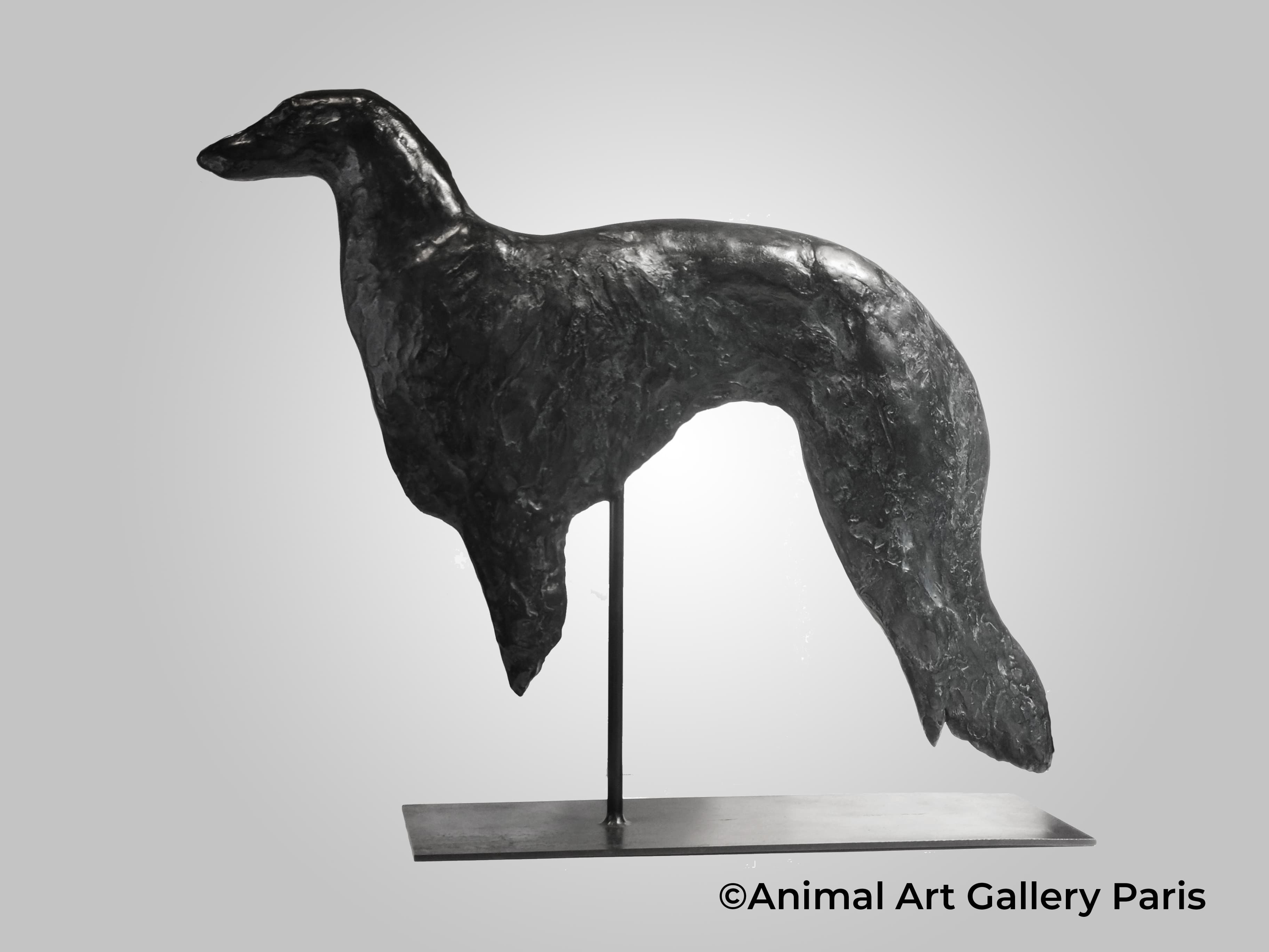 BARZOÏ (chien)