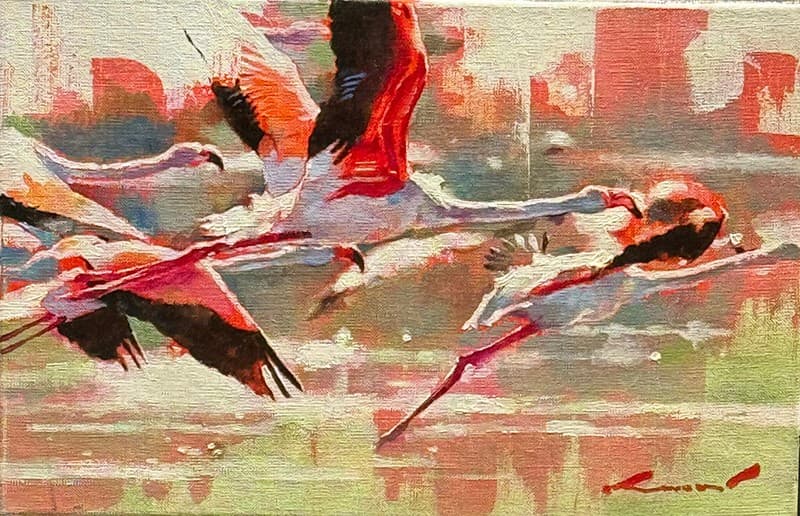 FLAMANTS ROSES