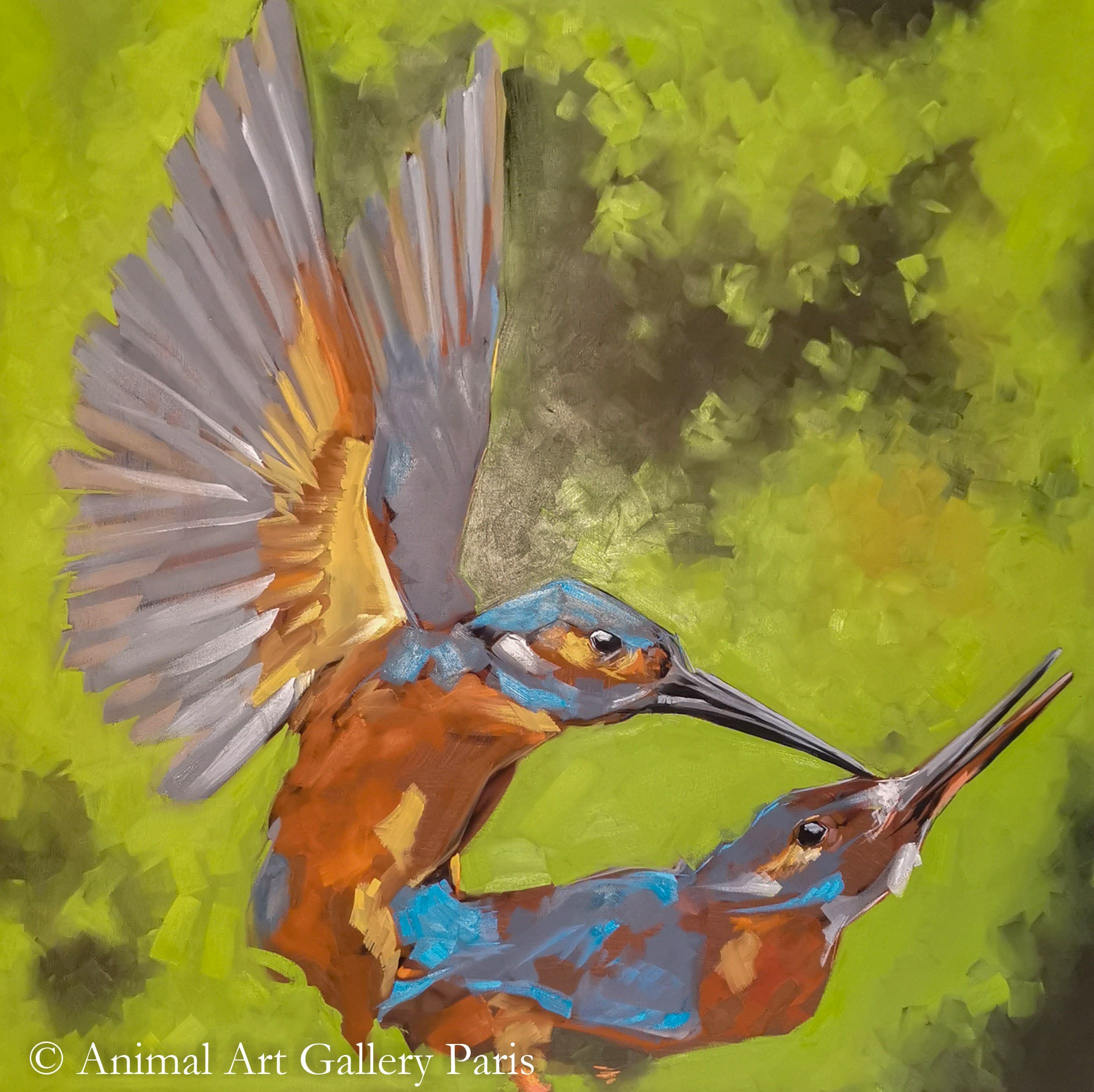 DID YOU KNOW ? №1 (Des colibris)