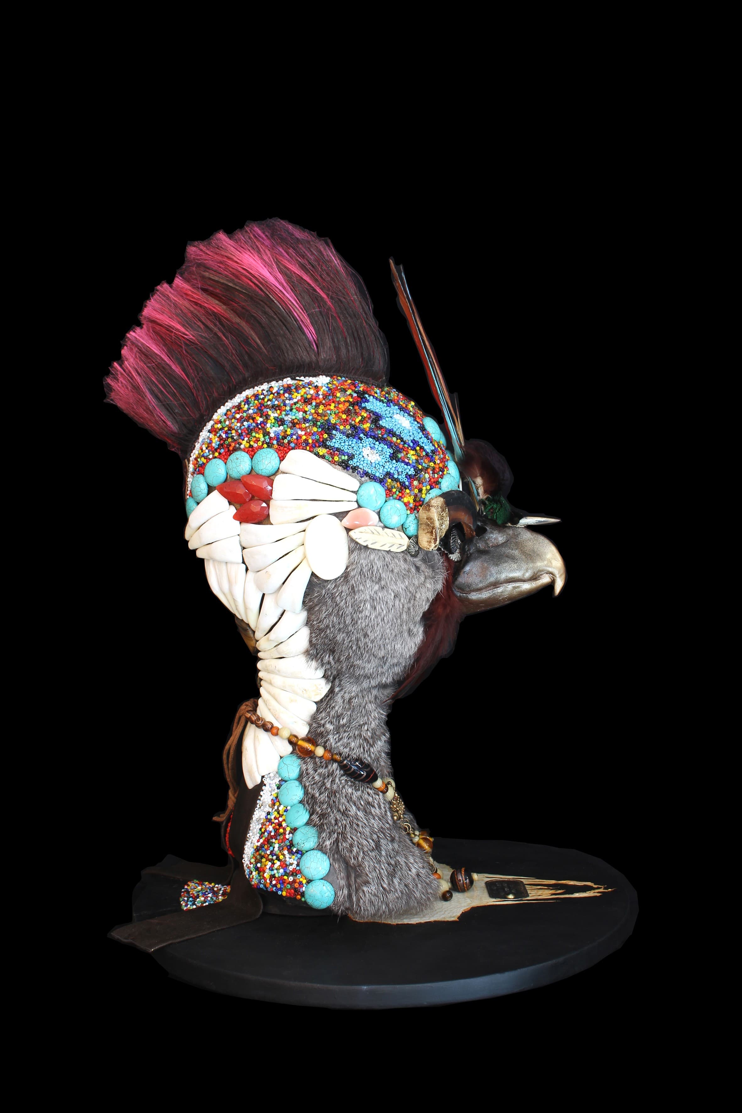 BESHKNO, L'AIGLE CHAUVE