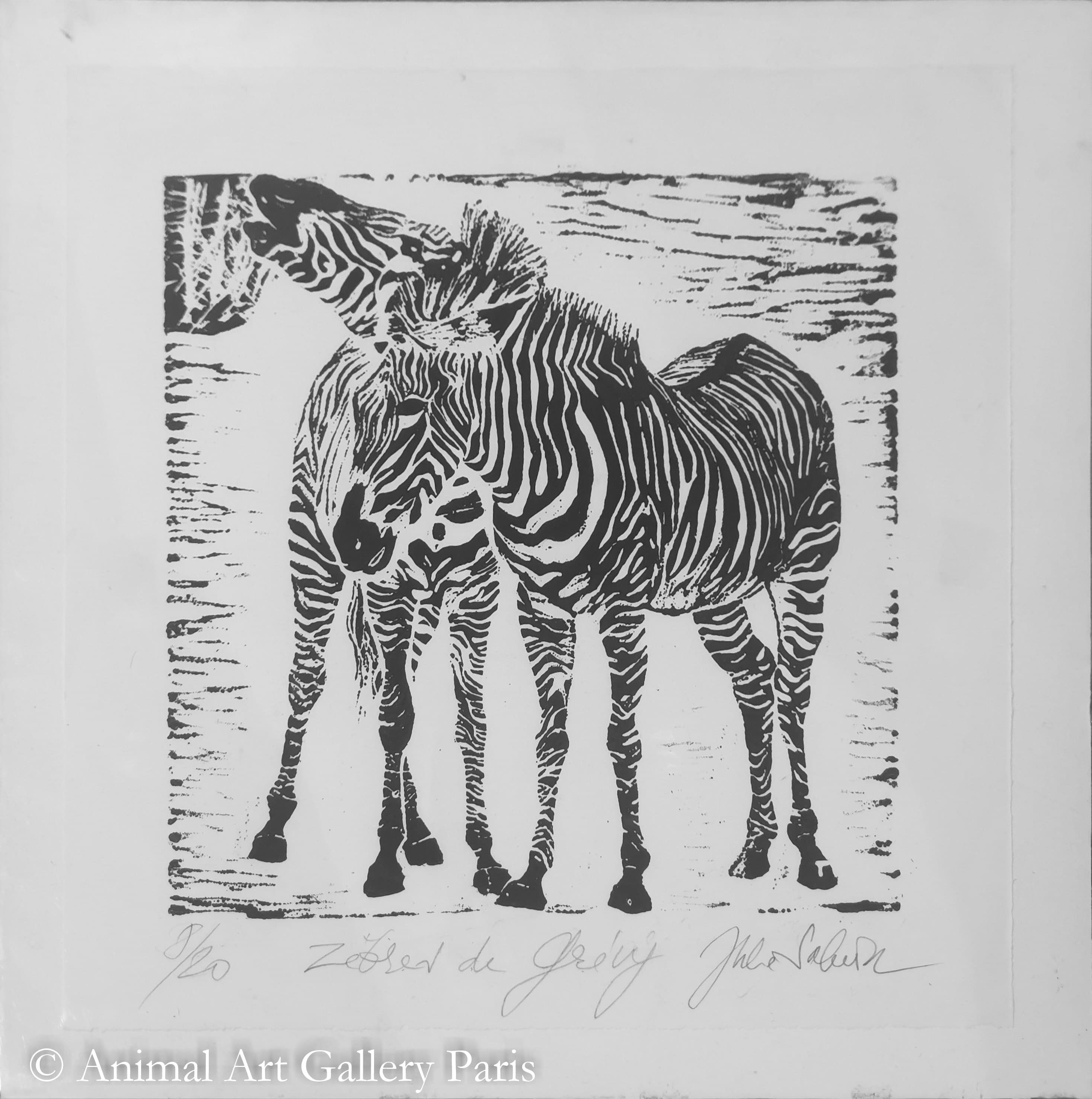 ZEBRES DE GREVY
