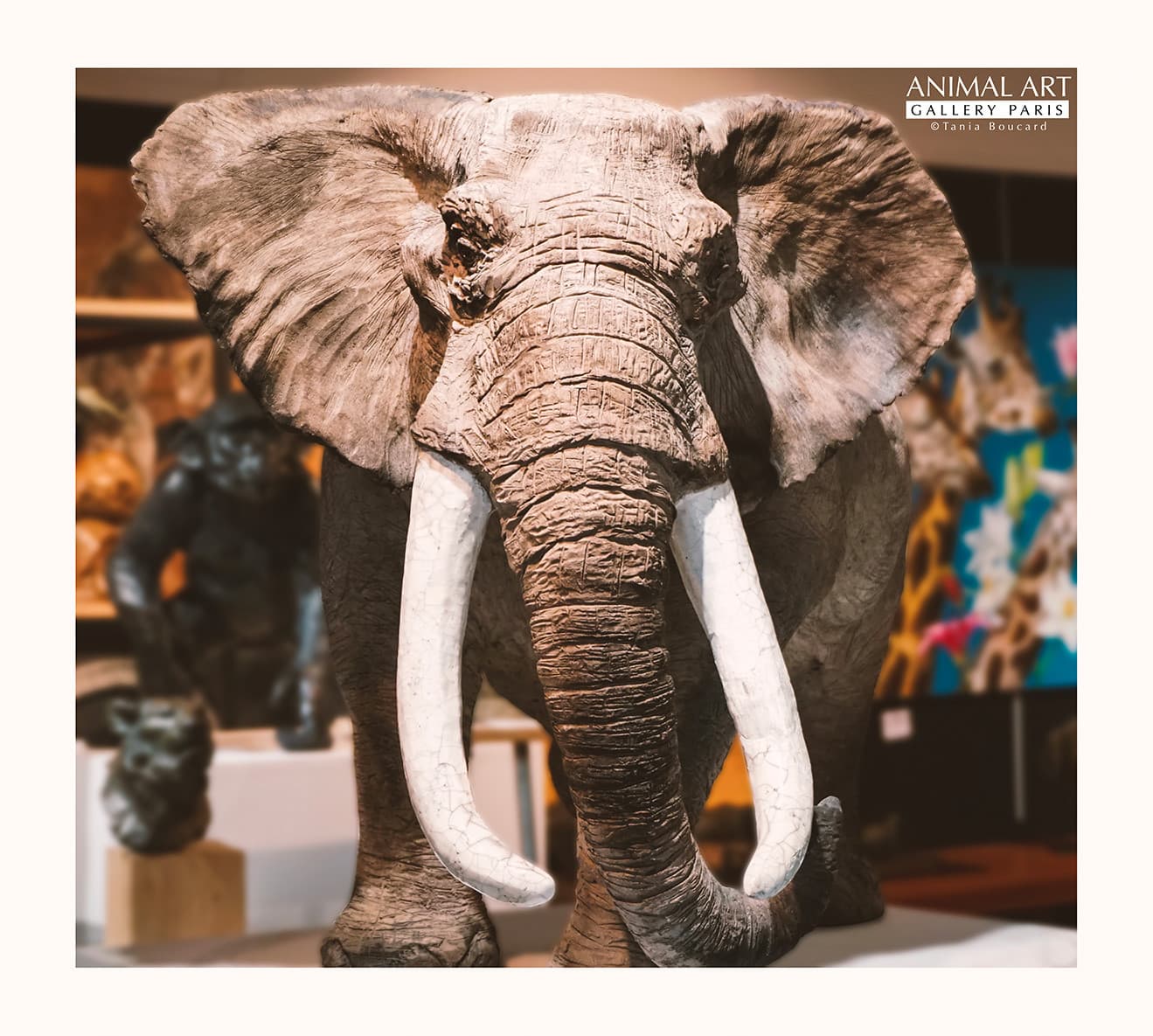 ELEPHANT D'AFRIQUE
