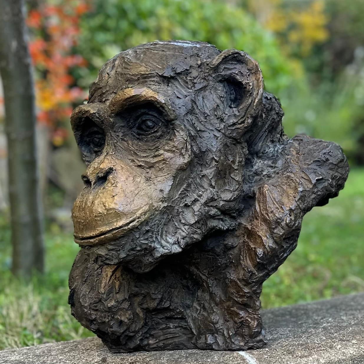 CHIMPANZE (bronze)
