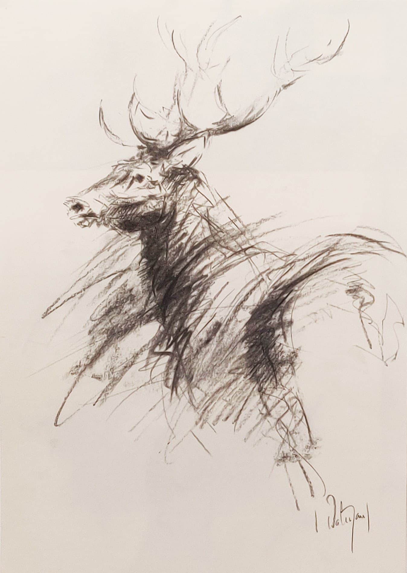 CERF