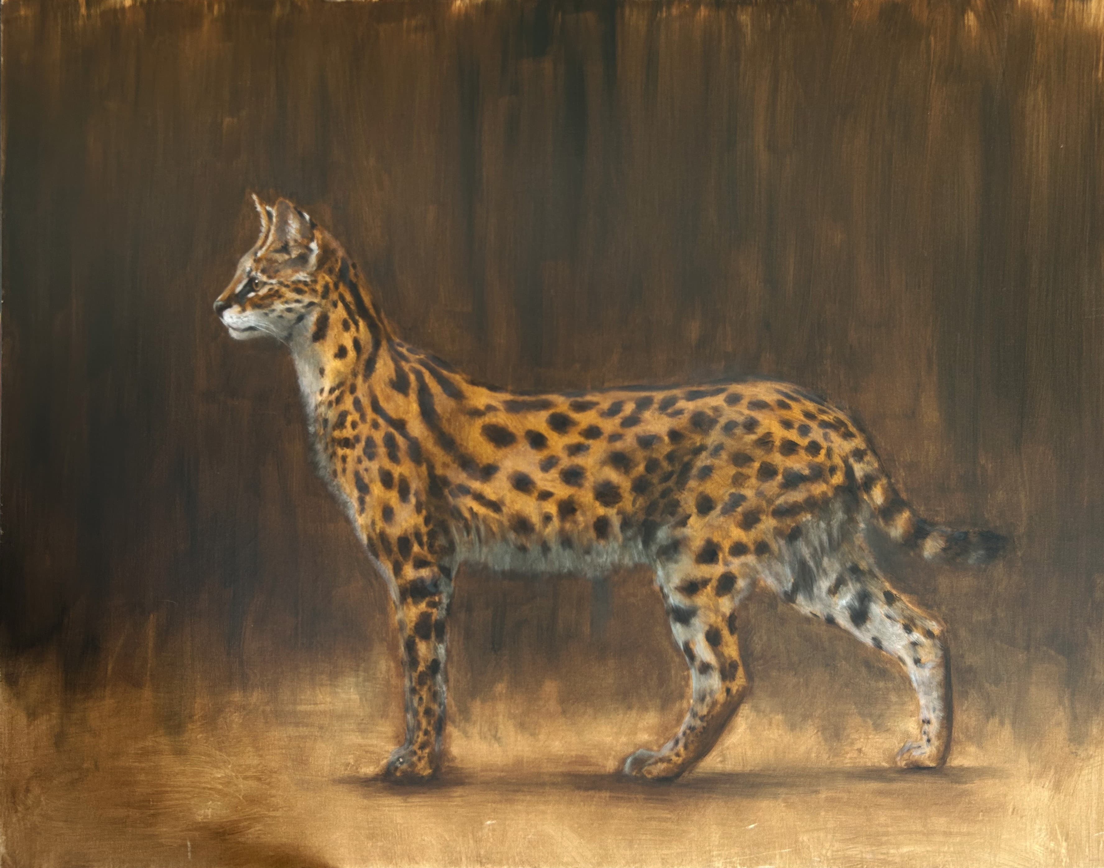 SERVAL