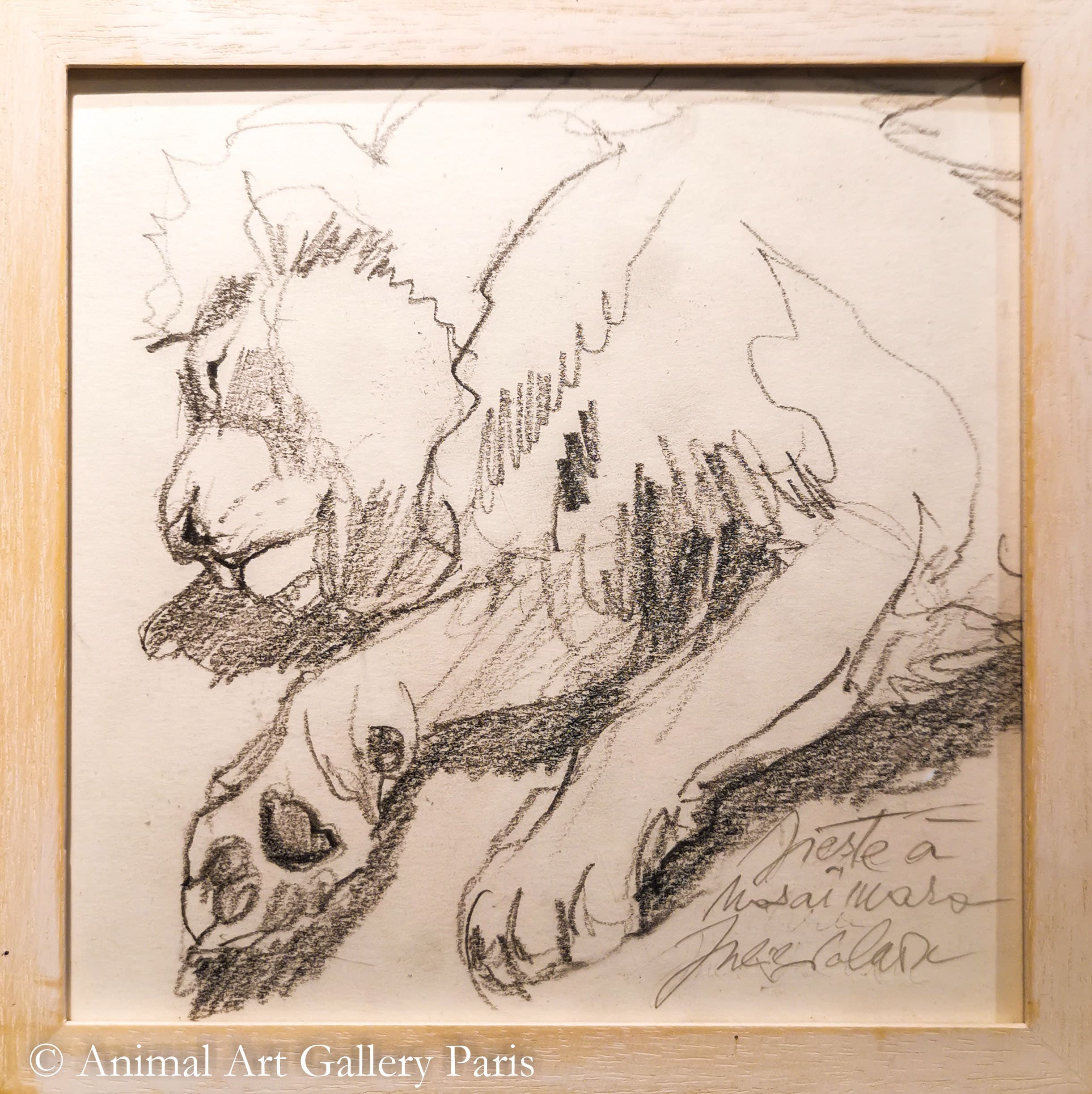 SIESTE A MASSAI MARA (lion)
